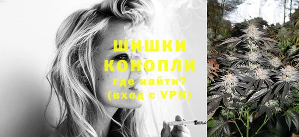 метадон Инта