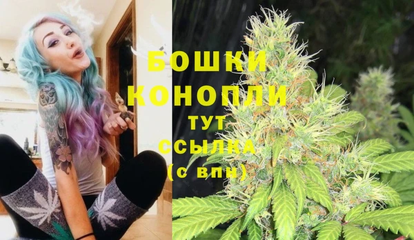 гидропоника Алексеевка