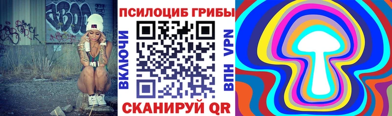 Галлюциногенные грибы мицелий  купить  сайты  Тбилисская 